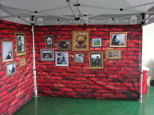 Tent 10X20FT van de bevorderings Openluchtluifel Reclame Opvouwbare Gazebo Luifel