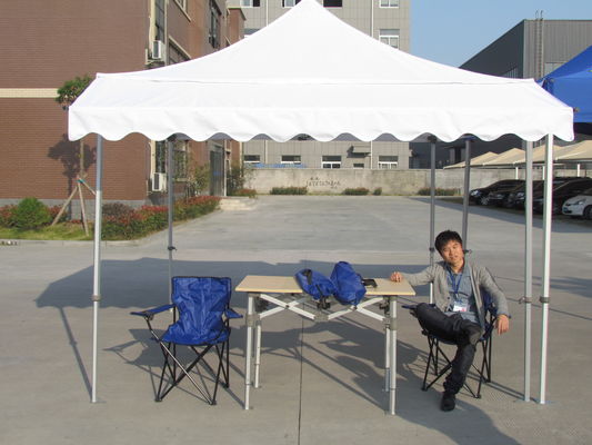 De commerciële 10x10-Tent van de de Luifel Op zwaar werk berekende 10x20 Tradeshow Grote Openluchtpartij van het Staalkader